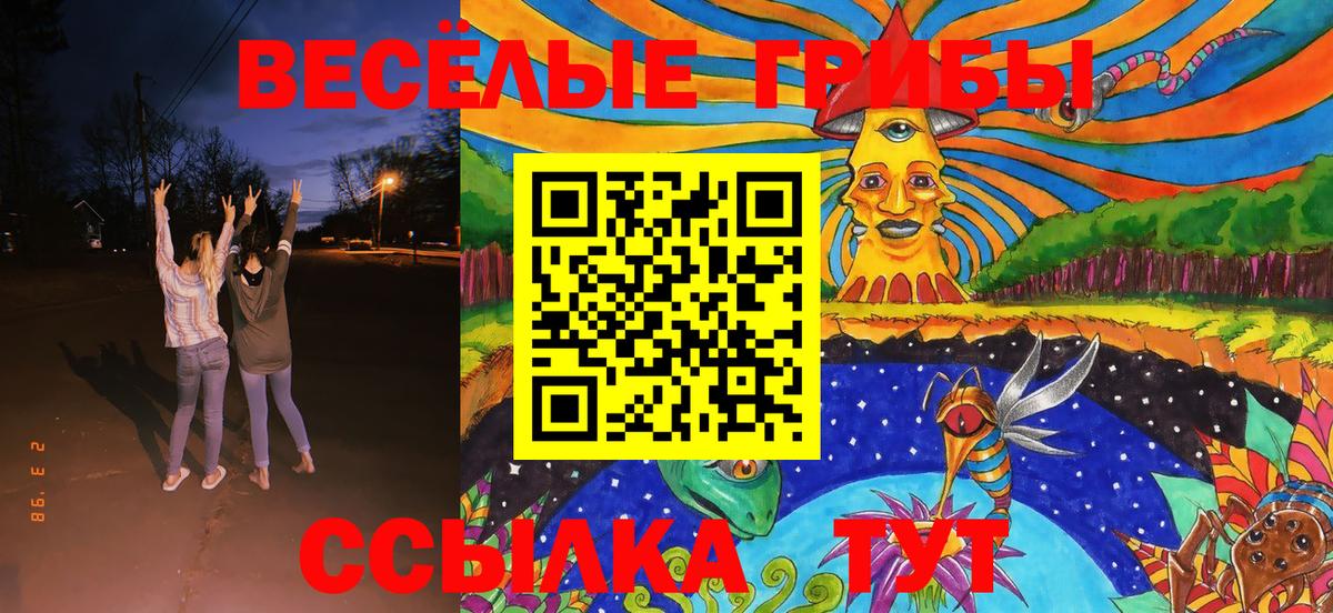 Галлюциногенные грибы прущие грибы Дубна