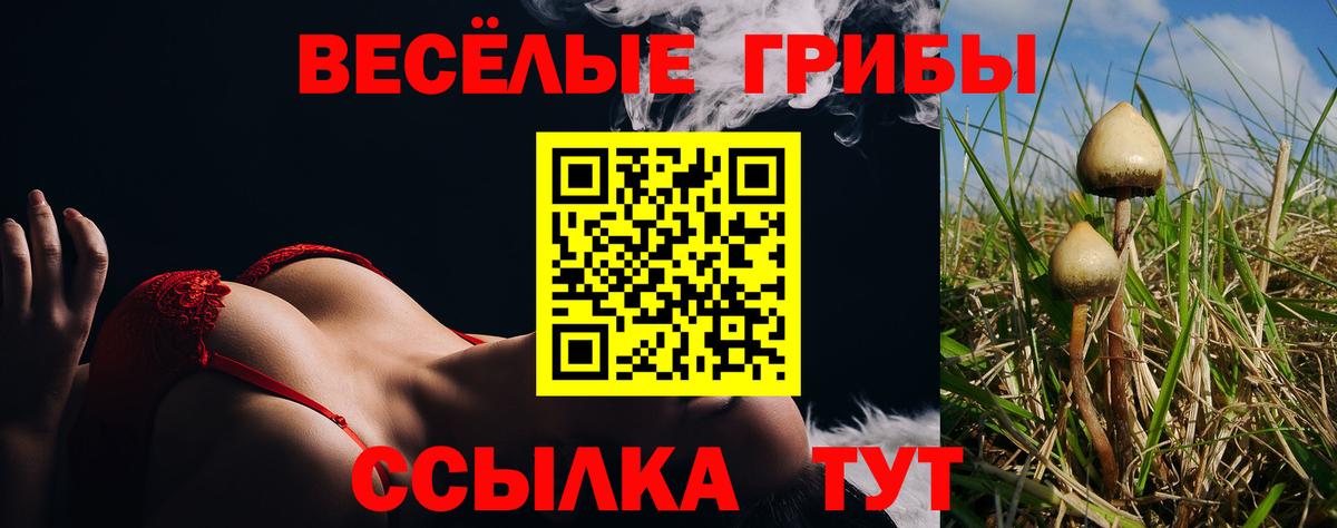 наркотики  Псилоцибиновые грибы Magic Shrooms  Дубна  Вход с VPN  Псилоцибиновые грибы Psilocybe 